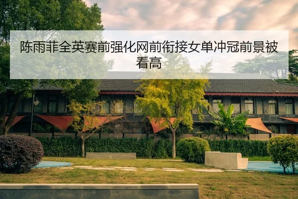 陈雨菲全英赛前强化网前衔接女单冲冠前景被看高 - aiyouxi