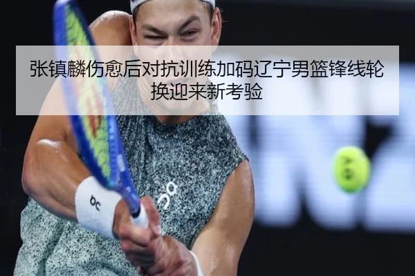 张镇麟伤愈后对抗训练加码辽宁男篮锋线轮换迎来新考验 - aiyouxi