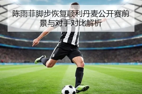 陈雨菲脚步恢复顺利丹麦公开赛前景与对手对比解析（aiyouxi）